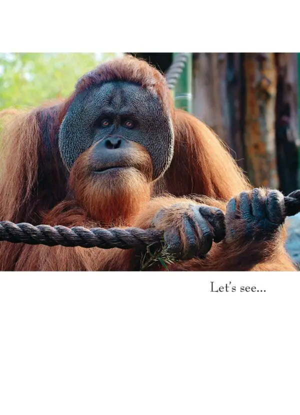  - 430-GC1180BD_lgjpg