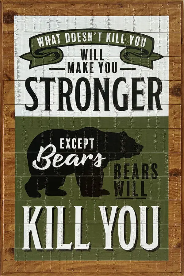  - 789A-PO1218BEARSSTRO