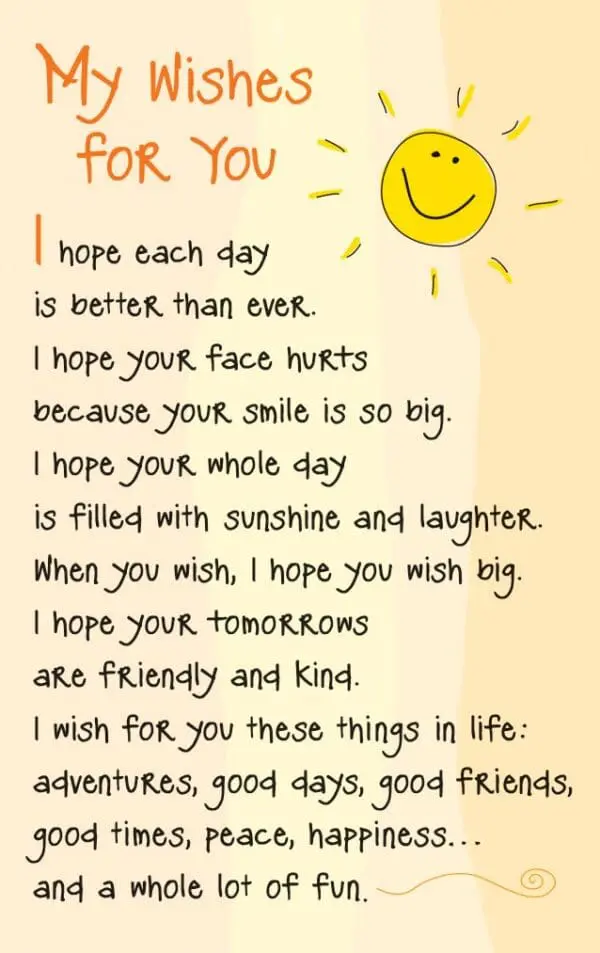  - 2583-DWL537P_lgjpg