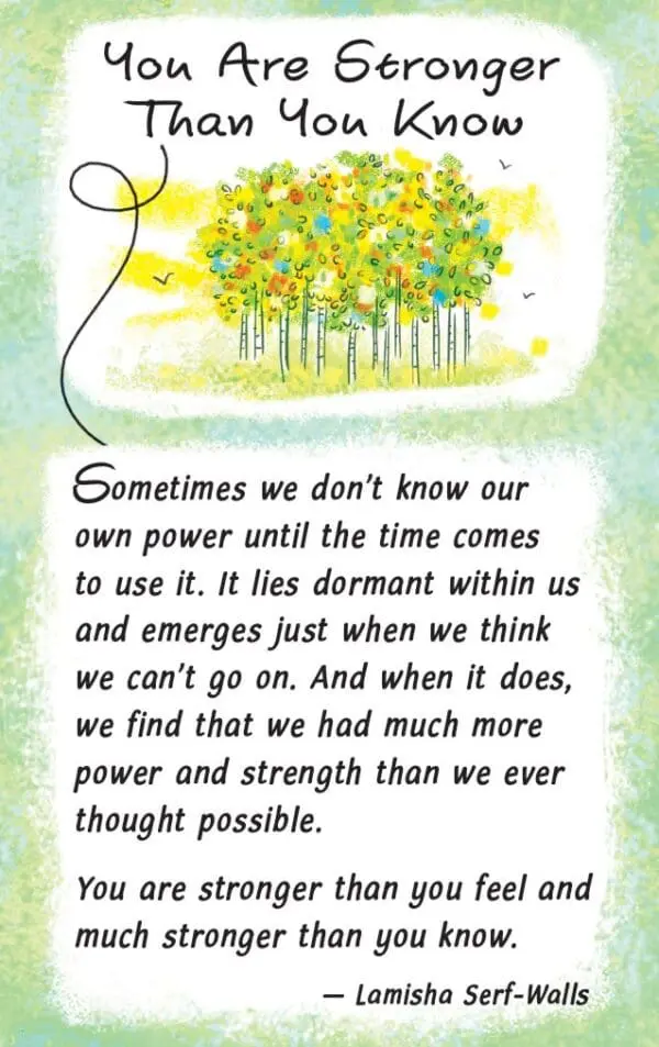  - 2583-DWL571P_lgjpg