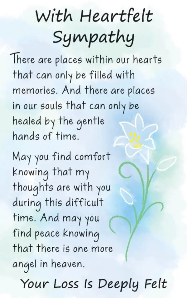  - 2583-DWL597P_lgjpg