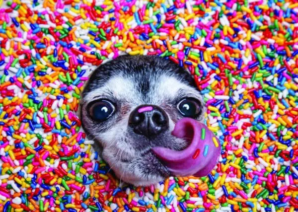  - 2800-774-01428_lgjpg