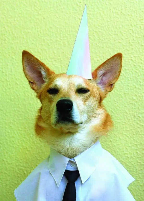  - 2800-774-01430_lgjpg