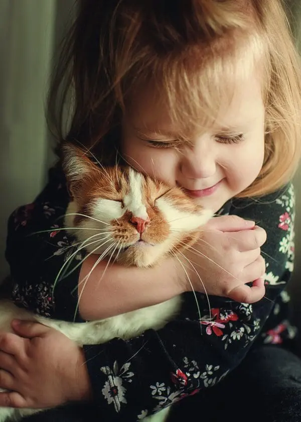  - 2800-774-01434_lgjpg