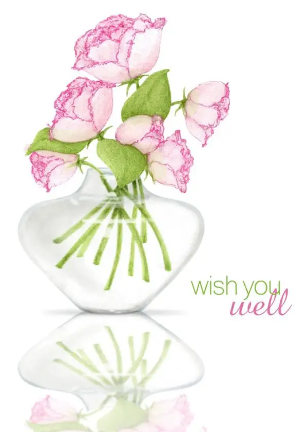  - 2156-GC01527_lgjpg