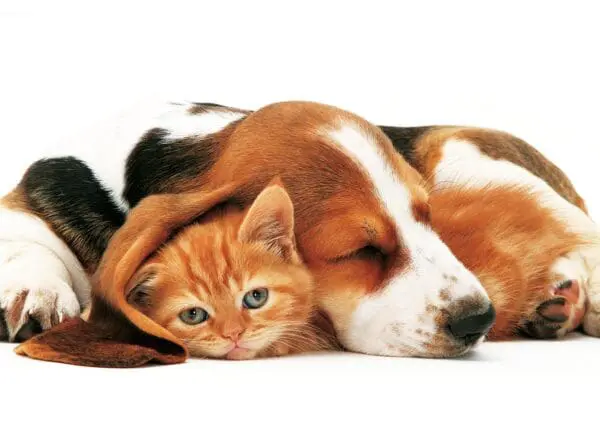  - 2800-774-00984_lgjpg