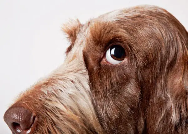  - 2800-774-01231_lgjpg