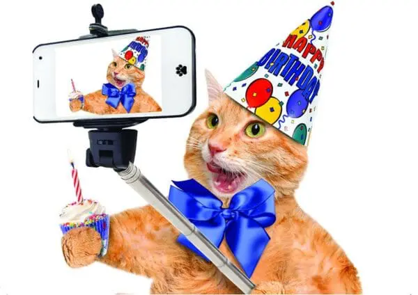  - 2800-774-01363_lgjpg