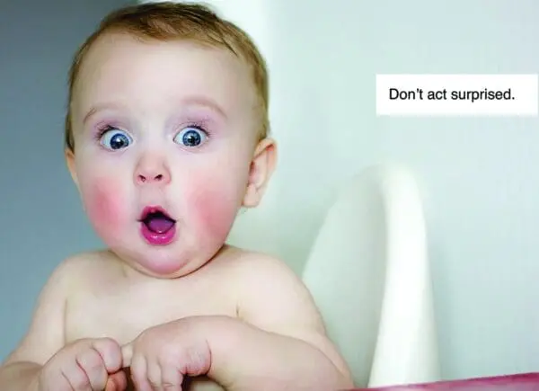  - 2800-774-01369_lgjpg