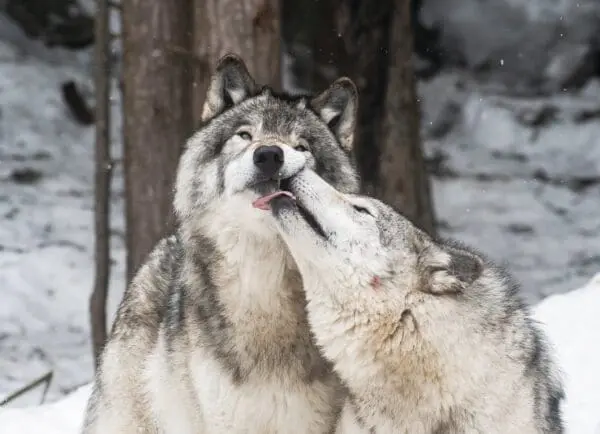  - 2800-774-01464_lgjpg