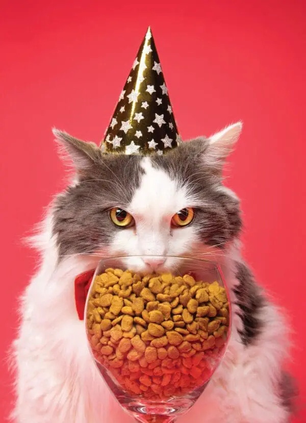  - 2800-774-01469_lgjpg