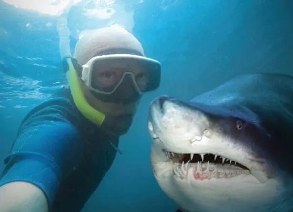  - 2800-774-01477_lgjpg