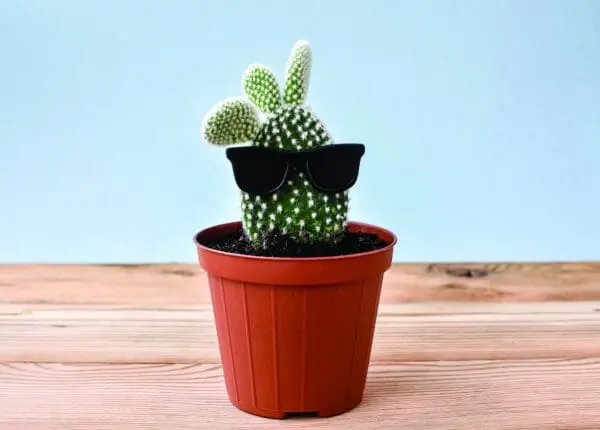  - 2800-774-01501_lg-1jpg