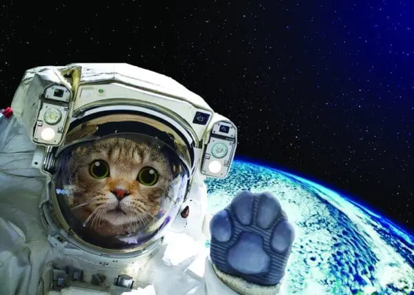  - 2800-774-01513_lgjpg