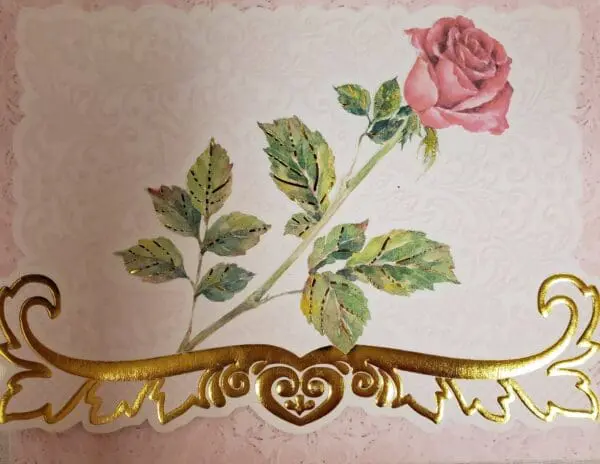  - 4200-NCP2229_lgjpg