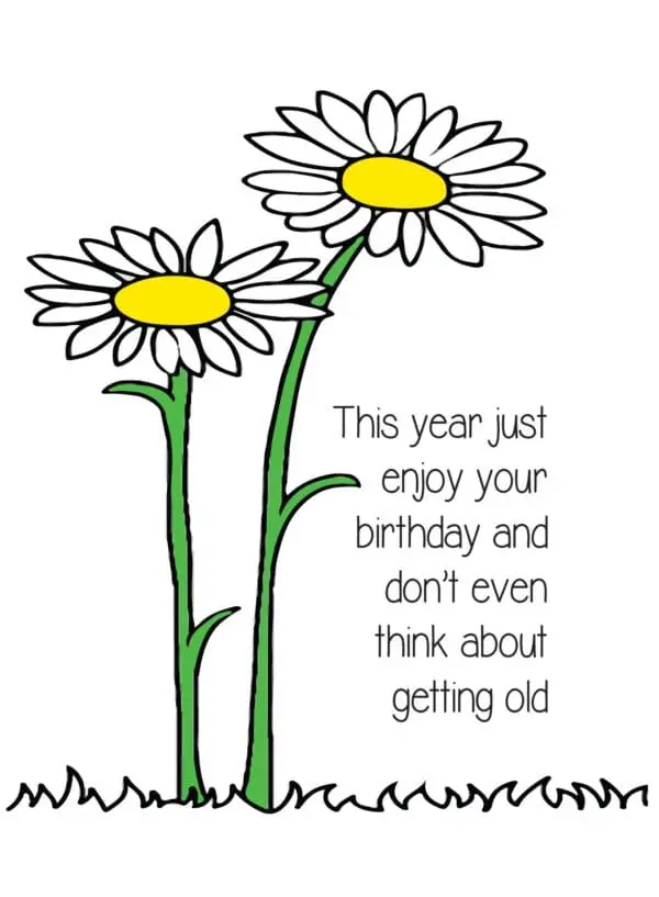  - 430-CD8093BD_lgjpg