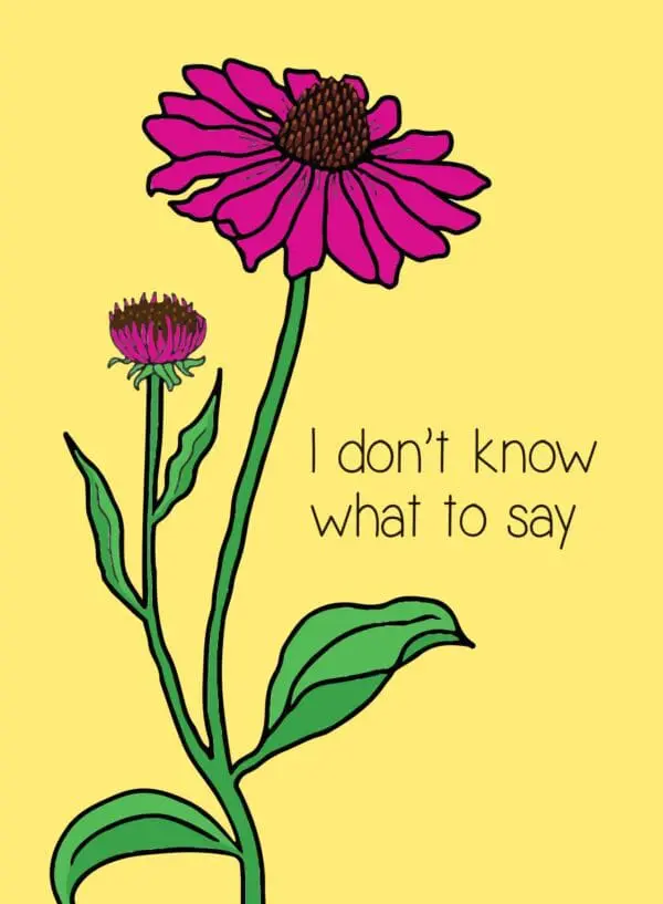  - 430-CD8590SY_lgjpg