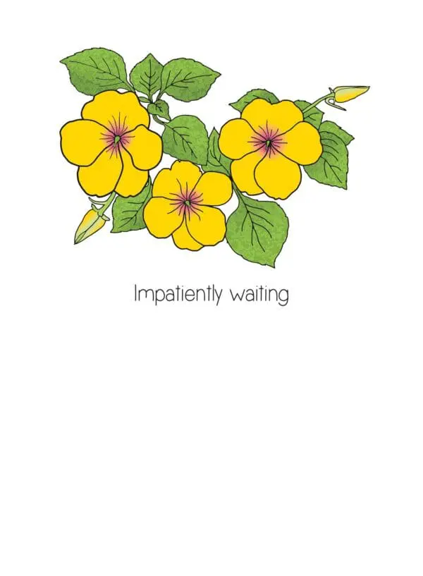  - 430-CD8908GW_lgjpg