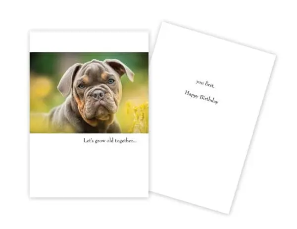  - 430-GC-1162-BD_lgjpg