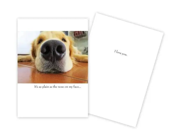  - 430-GC-1382-AN_lgjpg