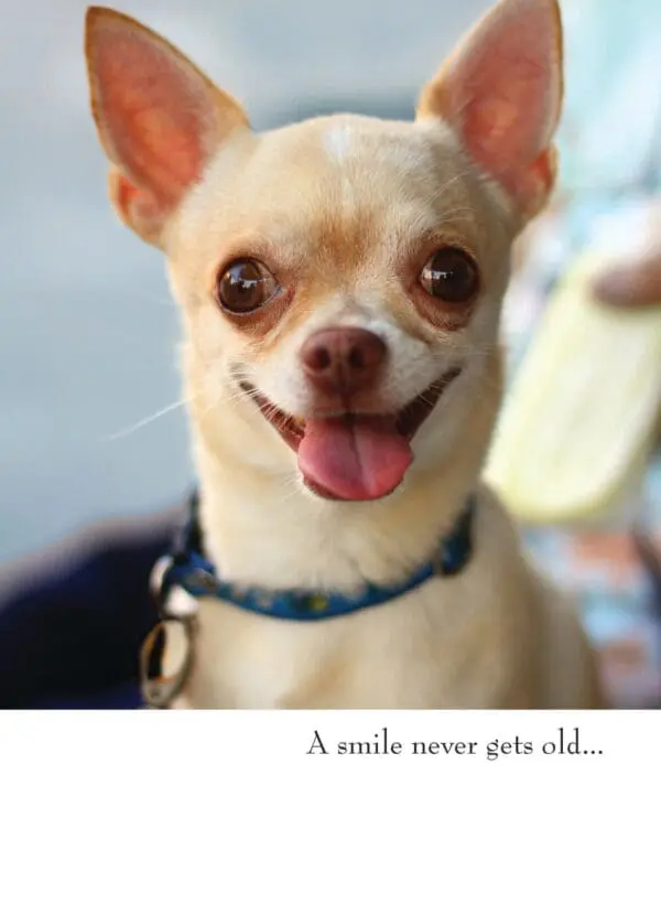  - 430-GC1179BD_lgjpg