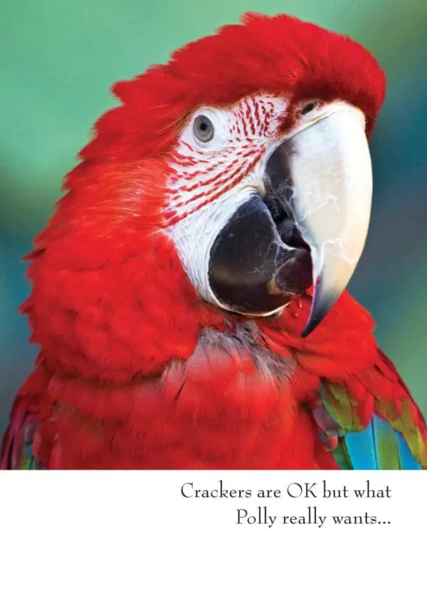  - 430-GC1187BD_lgjpg