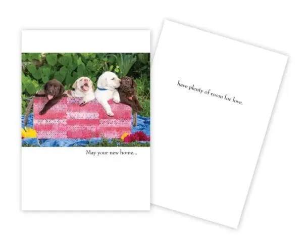  - 430-GC1852NH_lgjpg