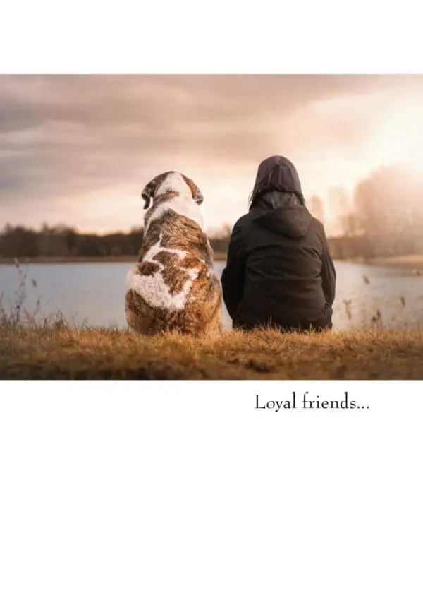  - 430-GC1876PS_lgjpg