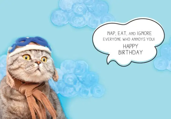  - 564-IOPE0012C_1_lgjpg