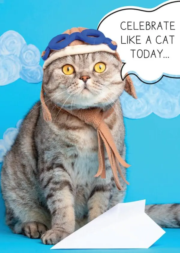  - 564-IOPE0012C_lgjpg