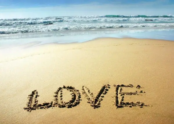  - 564-IOPE0172C_lgjpg