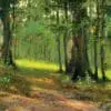 - 564-IOPE0176L_lgjpg