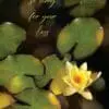  - 564-IOPE0207L_lgjpg