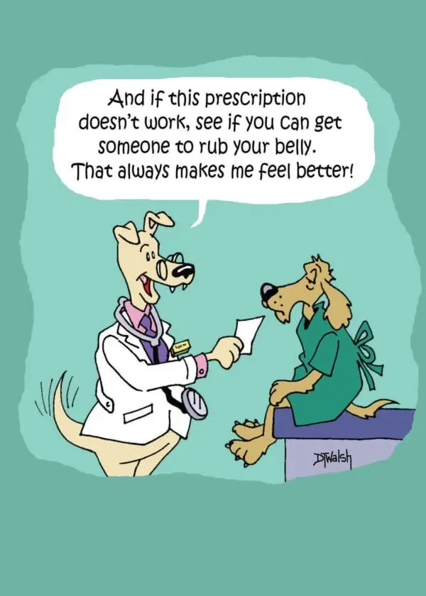  - 564-IOPE0239C_lgjpg