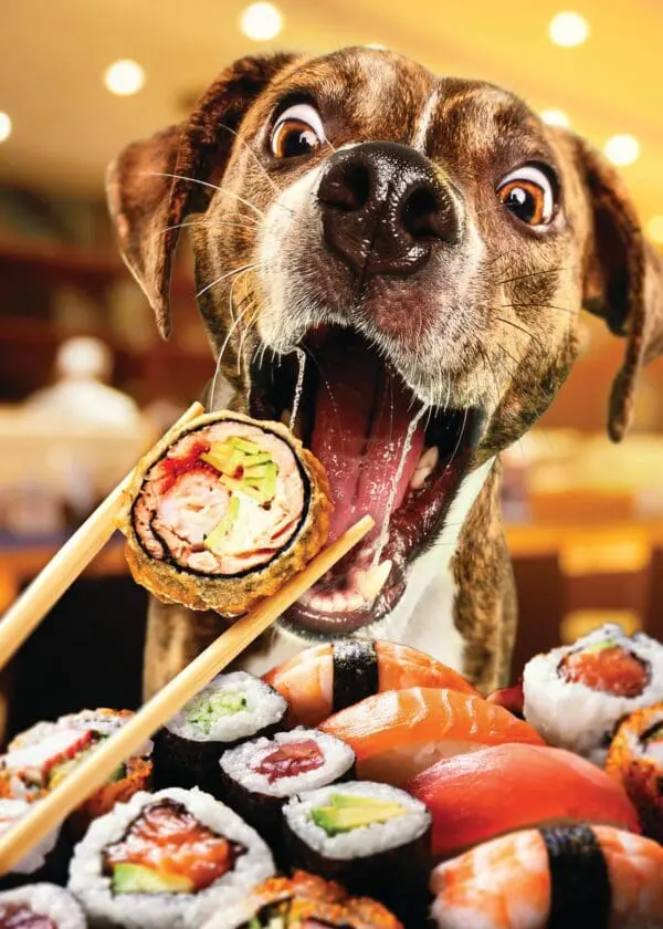  - 564-IOPE0660C_lgjpg