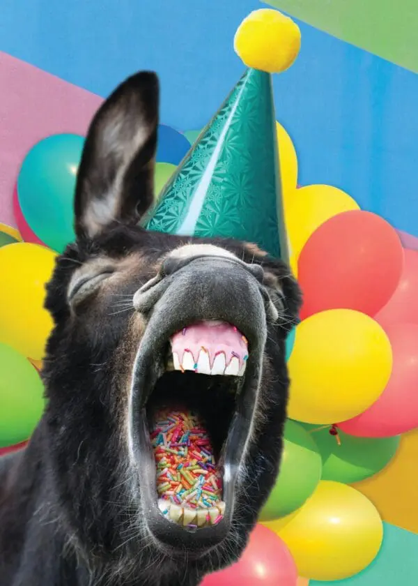  - 564-IOPE0683C_lgjpg