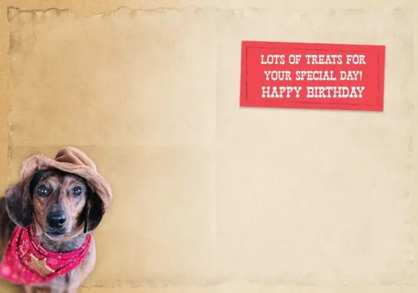  - 564-IOPW0264C_1_lgjpg