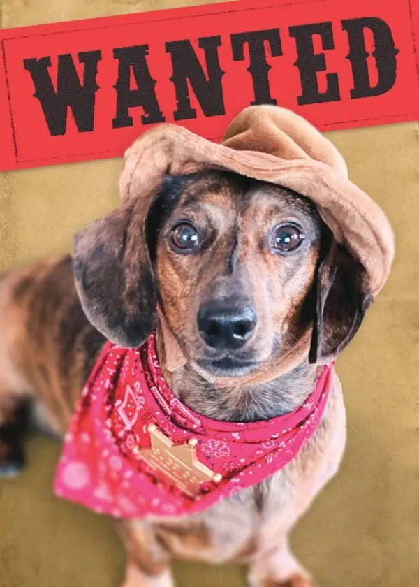  - 564-IOPW0264C_lgjpg