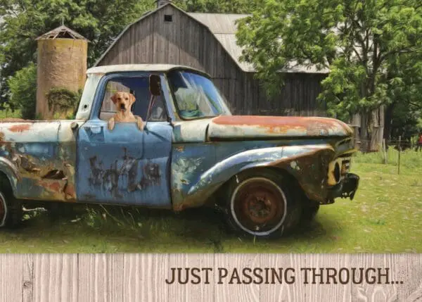  - 564-IOPW0333L_lgjpg