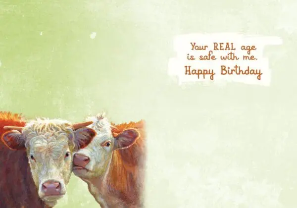  - 564-IOPW0342L_1_lgjpg