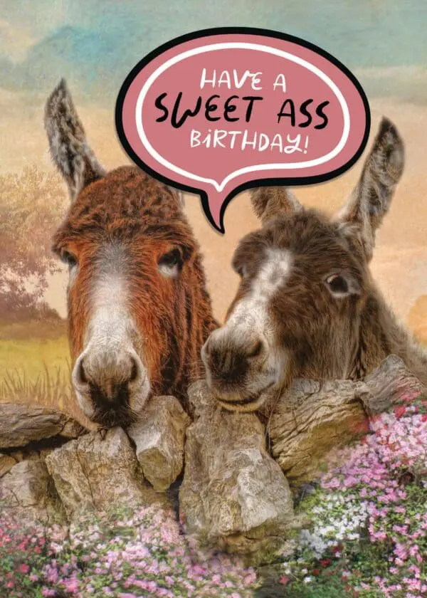  - 564-IOPW0350L_lgjpg