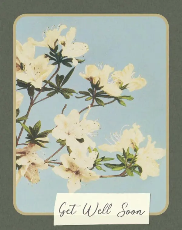  - 9884-ENCCAL0006_lgjpg