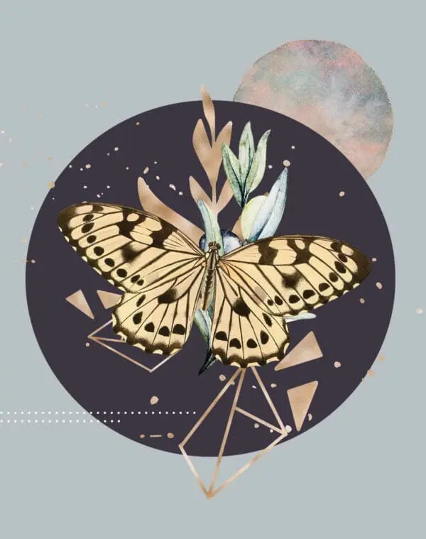  - 9884-ENCCAL0043_lgjpg