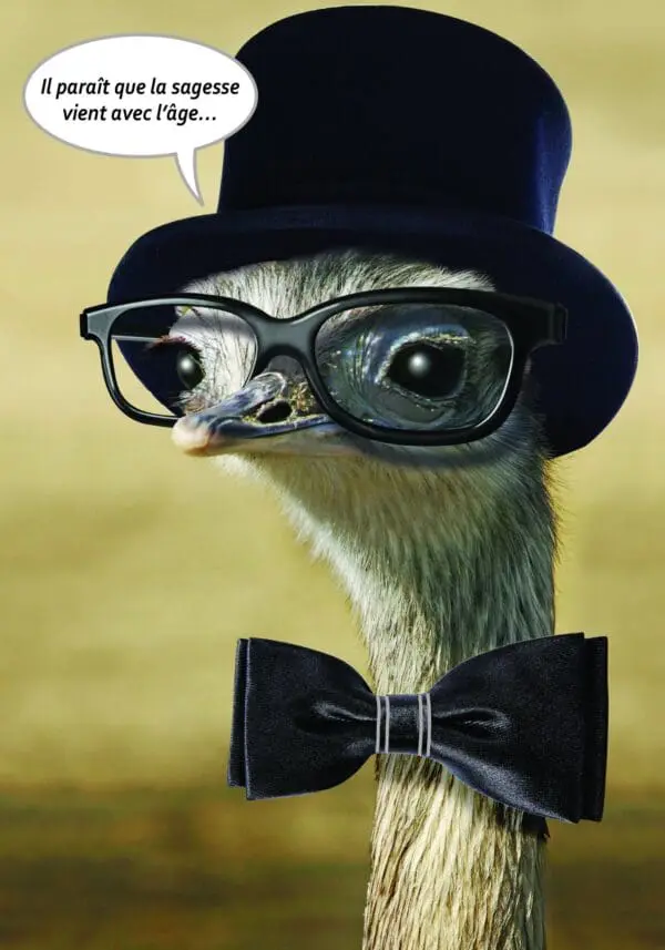  - 223A-005-00011-000_lg