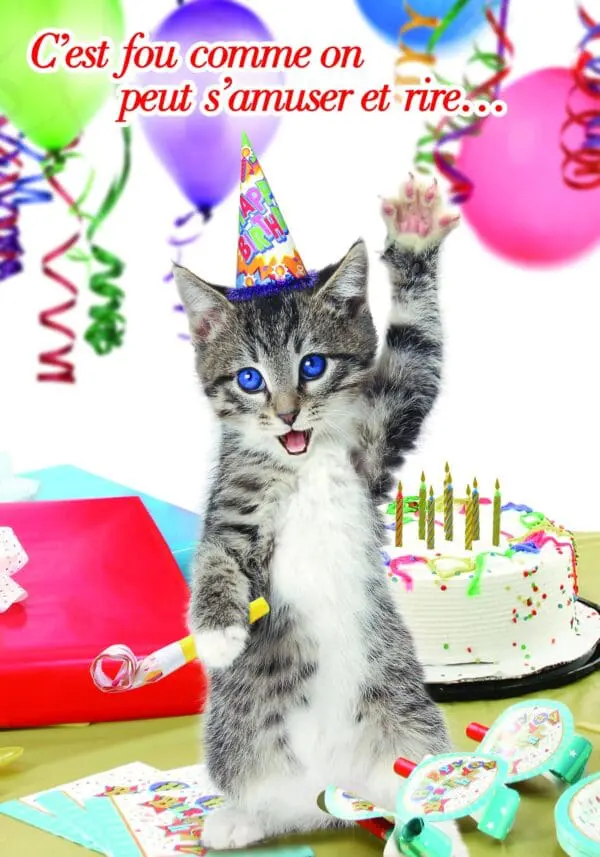  - 223A-005-00012-000_lg