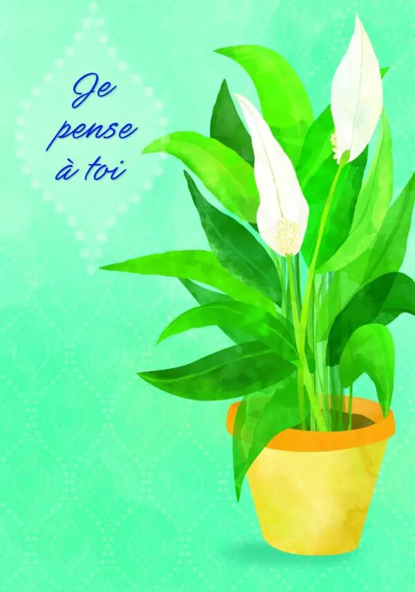  - 223A-005-03902-000_lg