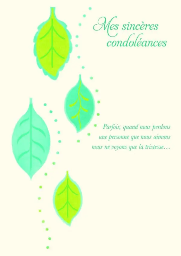  - 223A-005-04046-000_lg