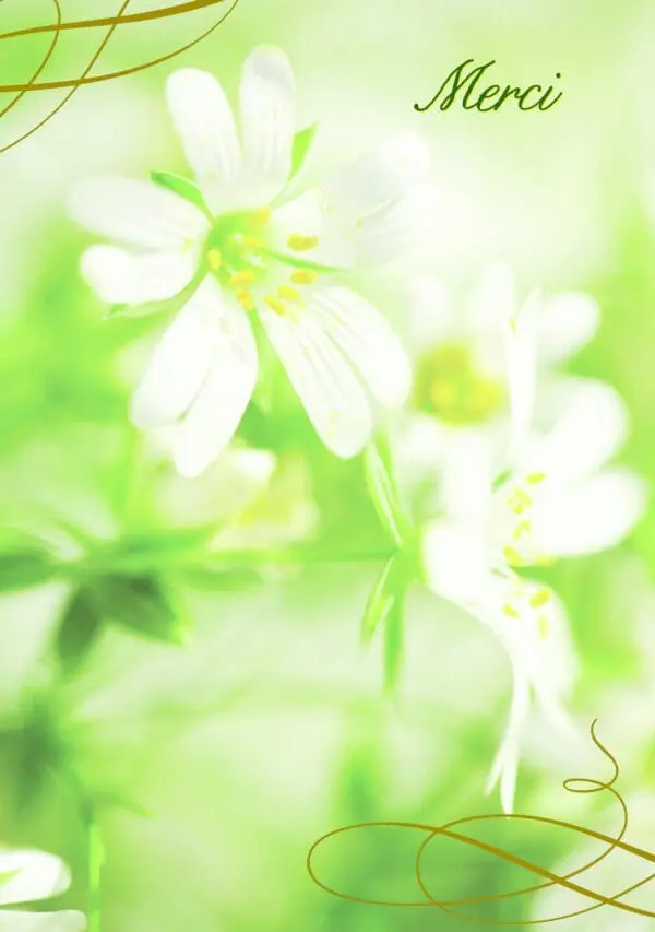  - 223A-005-04572-000_lg