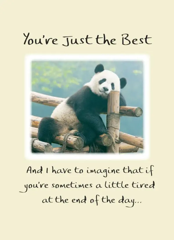  - 2583-PIX009P_lgjpg