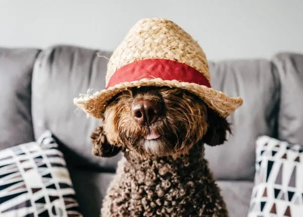  - 2800-774-00119_lgjpg